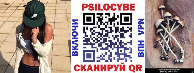 где можно купить   Гаджиево  hydra зеркало  Псилоцибиновые грибы ЛСД 